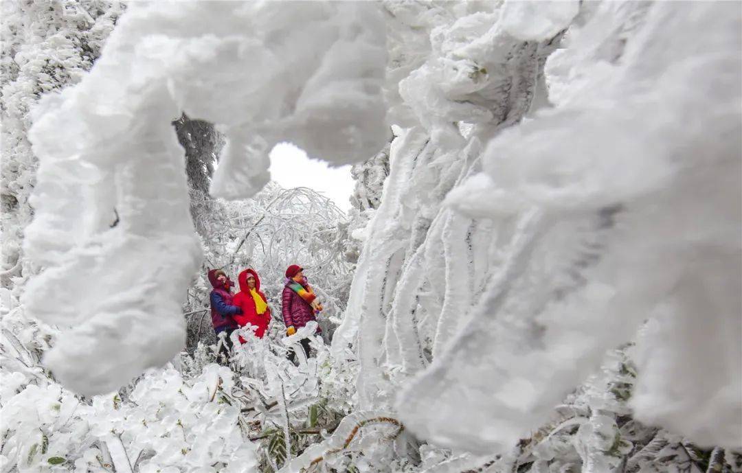 清远大雪图片