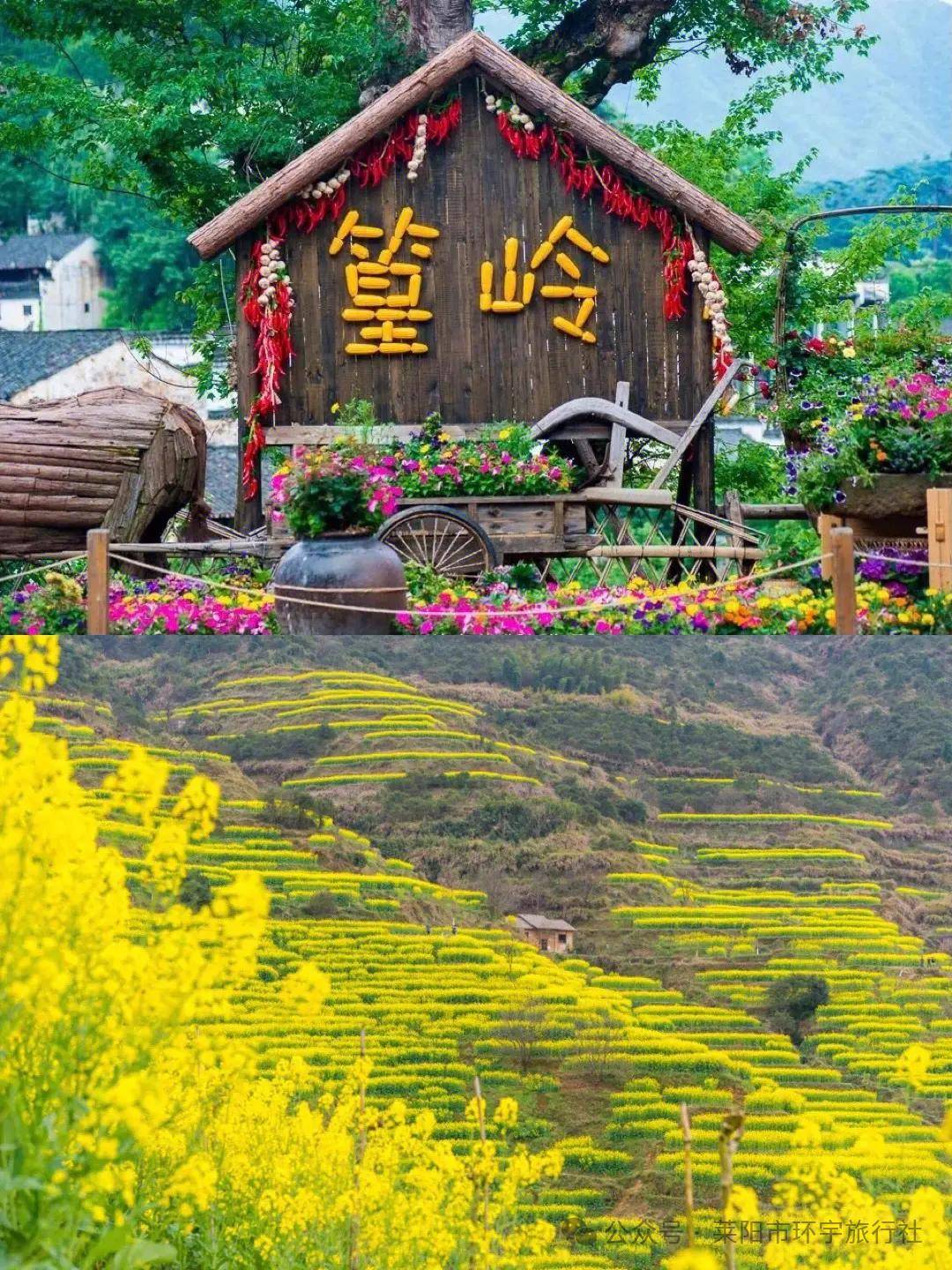 庐山西海景区,三清山,婺源篁岭,望仙谷(白加黑),南昌纯玩双飞5日游