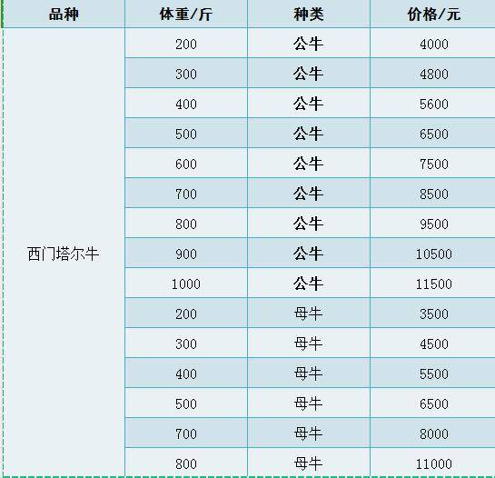 最新活牛价发布