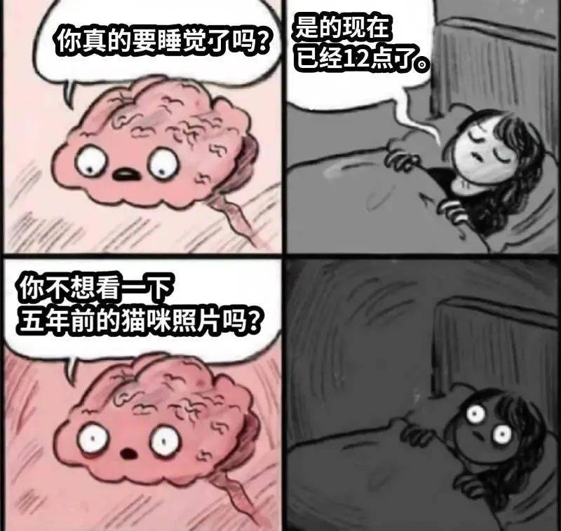 你要睡了吗大脑表情包图片