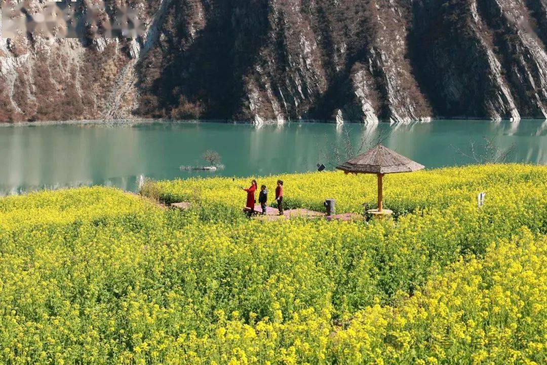 这里有一份邀请函~_文县_天池镇_活动