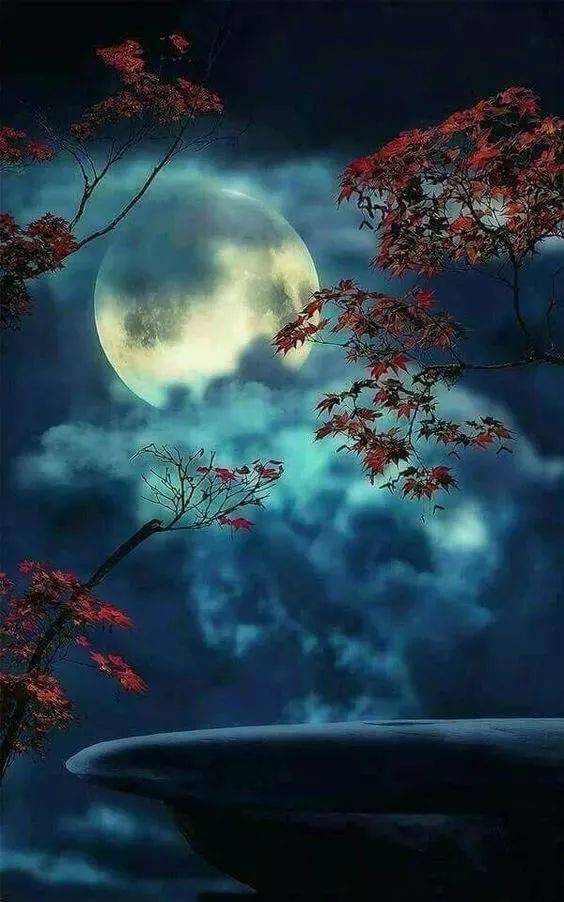 明月_笑语_灯火