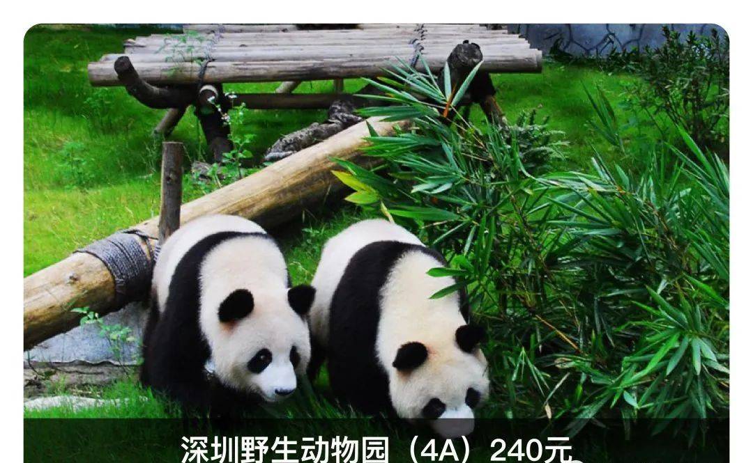 好消息,一票畅玩深圳野生动物园,锦绣中华等20 景区乐园!