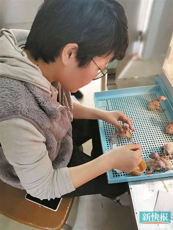 "如果不是爱动物的人,真的没办法工作下去"_救护_中心_救助