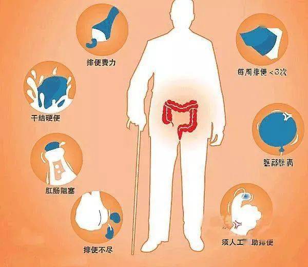 【上海中佑肛肠医院可以吗】长时间不排便对身体有哪些危害?