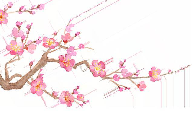 春到万家 灯火可亲 | 法影斑斓_花灯_人间_福州中院