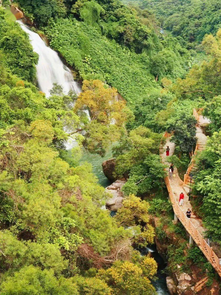 正月十六,莆田黄石镇华东村冲花祈福闹元宵_摄影_荔城区_陈金钵