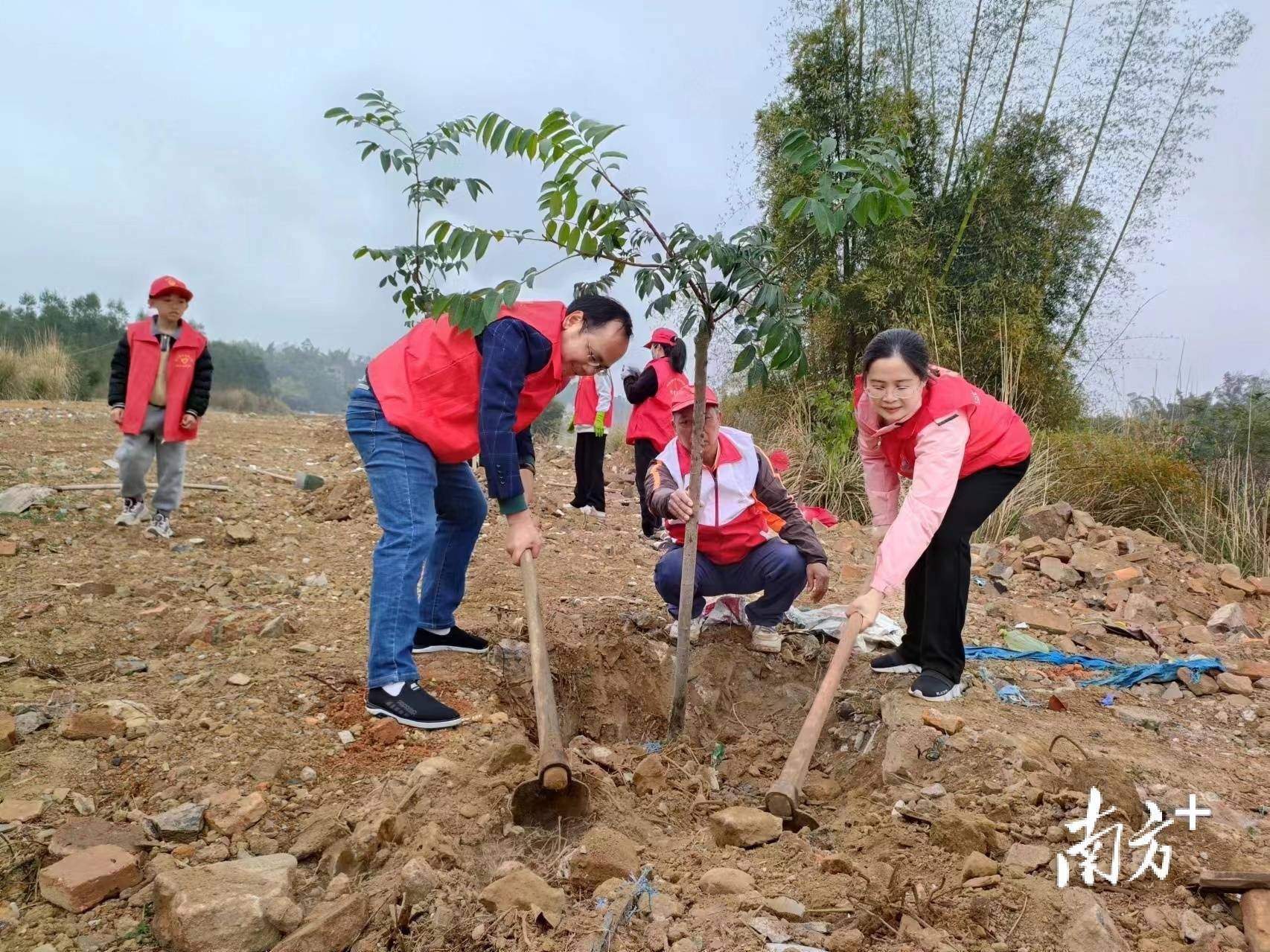 60个家庭齐聚种树,五华这个村别样闹元宵|百千万群众干"百千万工程"⑥