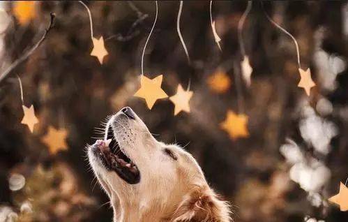 梦见这些,预示有贵人出现_什么_事情_医生