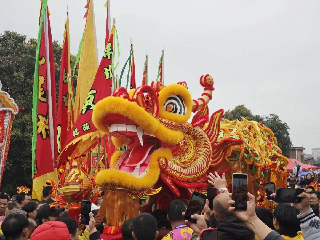 图文 视频带你直击鹤城客家花炮会