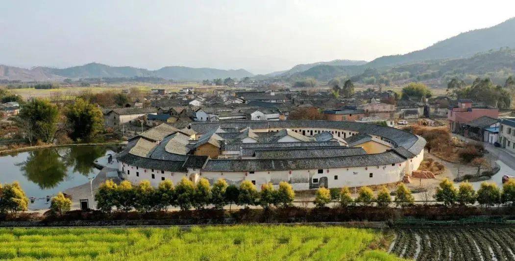实力出圈!韶关又一地上央视~_翁源_文化_桃花