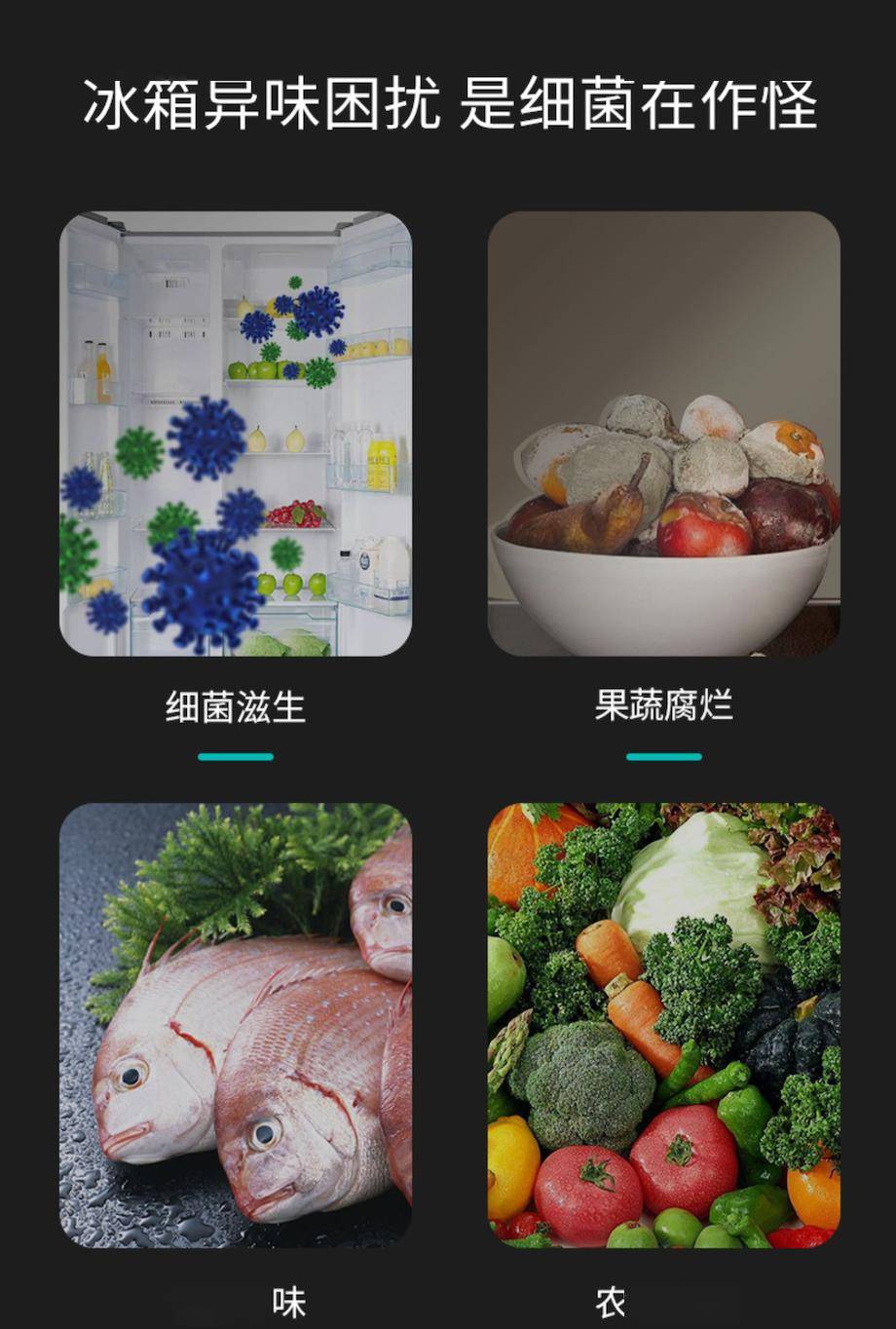 冰箱这样用,细菌霉菌都要谢谢你_保鲜_净化器_李斯特