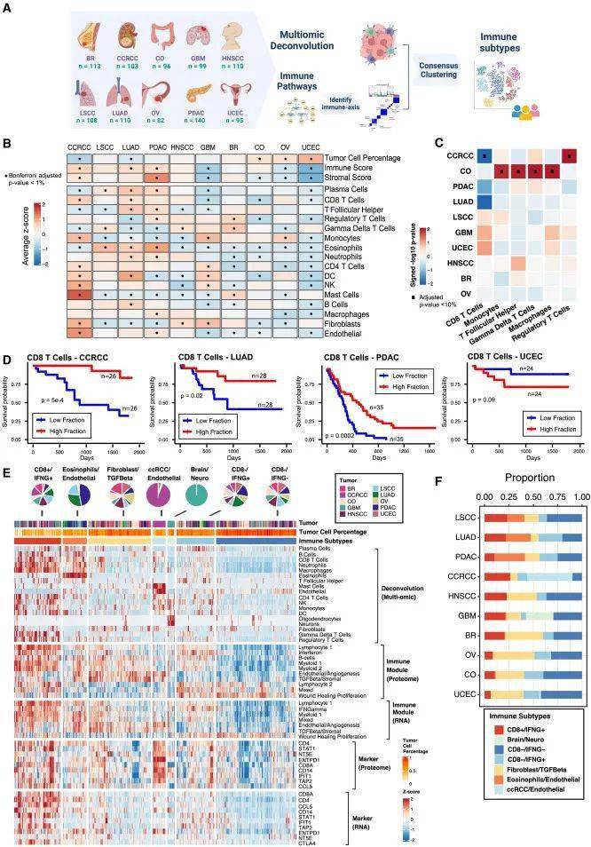 十大癌症蛋白质基因组学精准免疫_癌细胞_wang_治疗