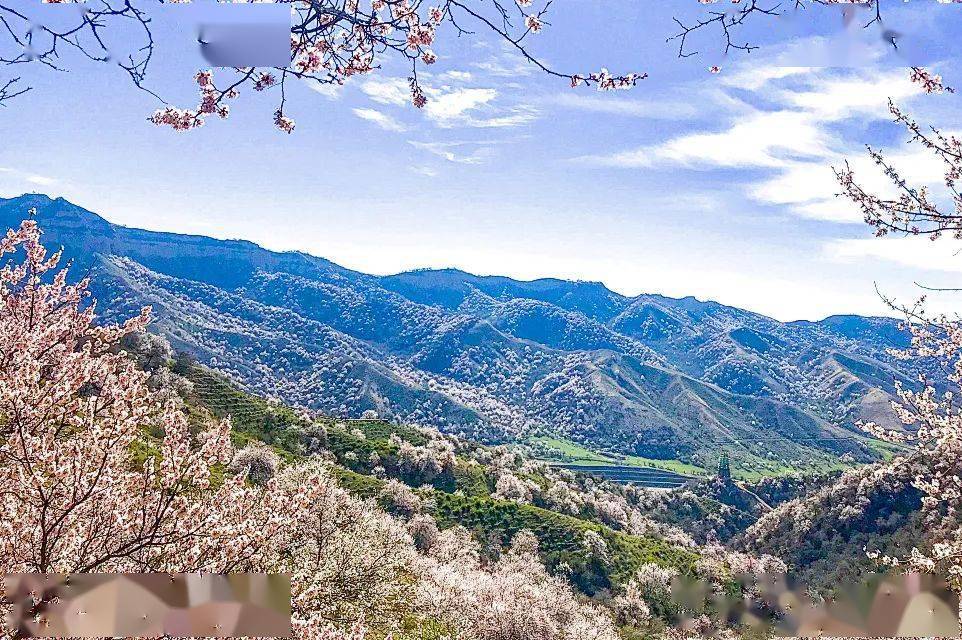 2024小车游系列 春满天山—赛里木湖 伊犁杏花7日_门票_全程_费用