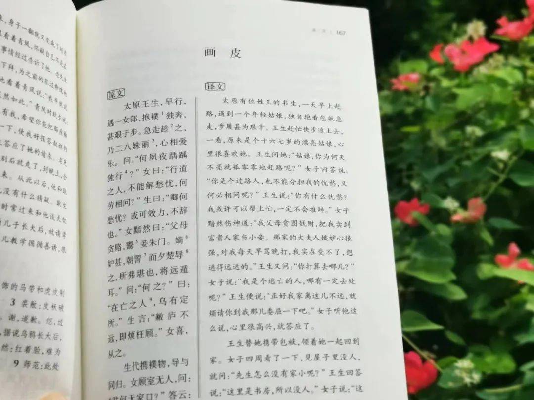 聊斋_故事_中国