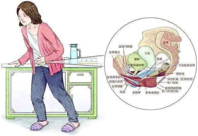直肠脱垂等),阴道壁膨出,阴道松弛等一系列情况,将严重影响产后妈妈的