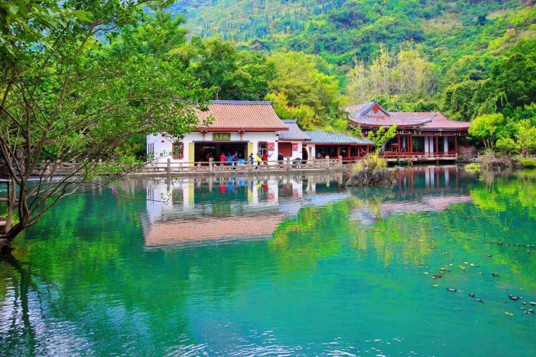 贵州天星桥,大自然造就的天然盆景_景区_黄果树瀑布_藤墨