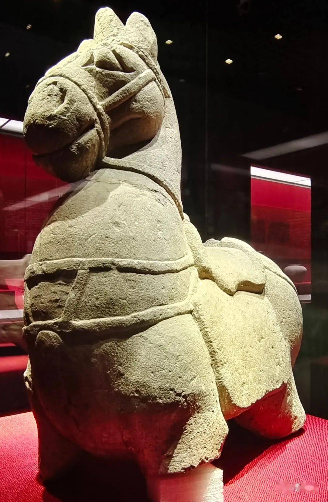 陶魌头,摇钱树石座与青铜跽坐人:花脚大仙分享雅安市博物馆巡礼之六
