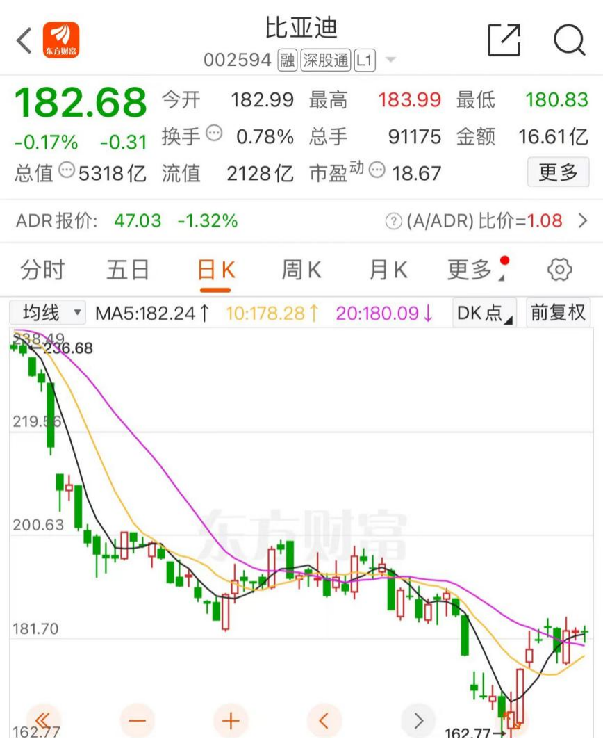 王传福:加倍回购!_公司_股份_侯某彬