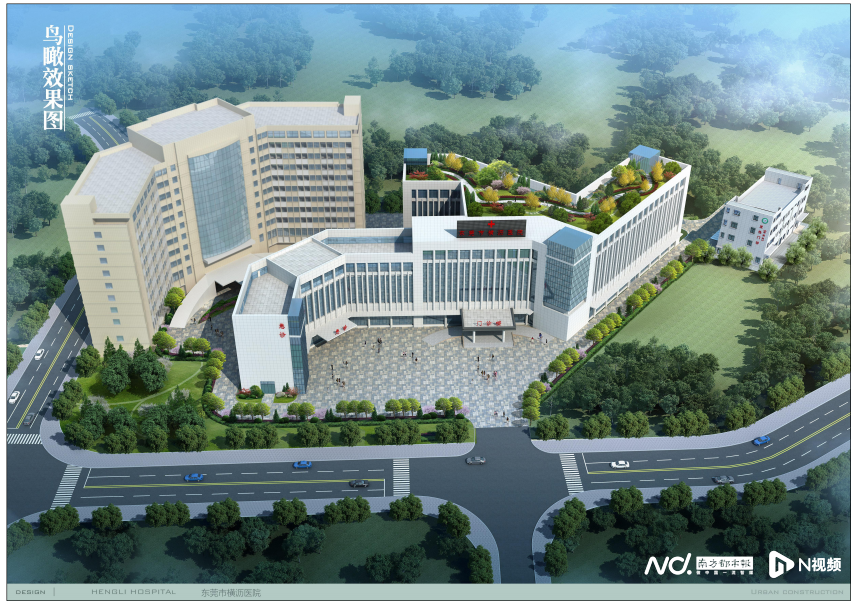 东莞一周_发展_南都_市民