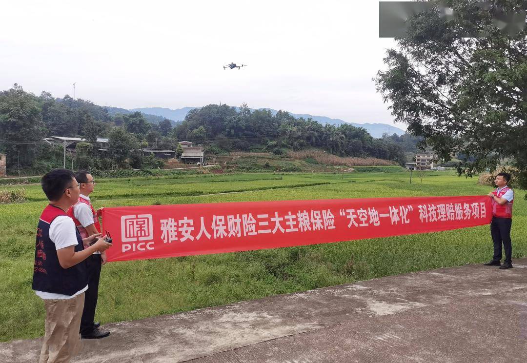 聚合力,强能力,提效力 雅安市财政局多向发力做好政策性农业保险服务