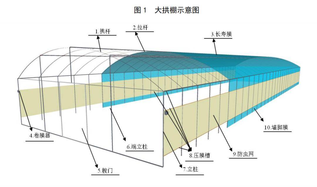 连栋大棚结构图示意图图片