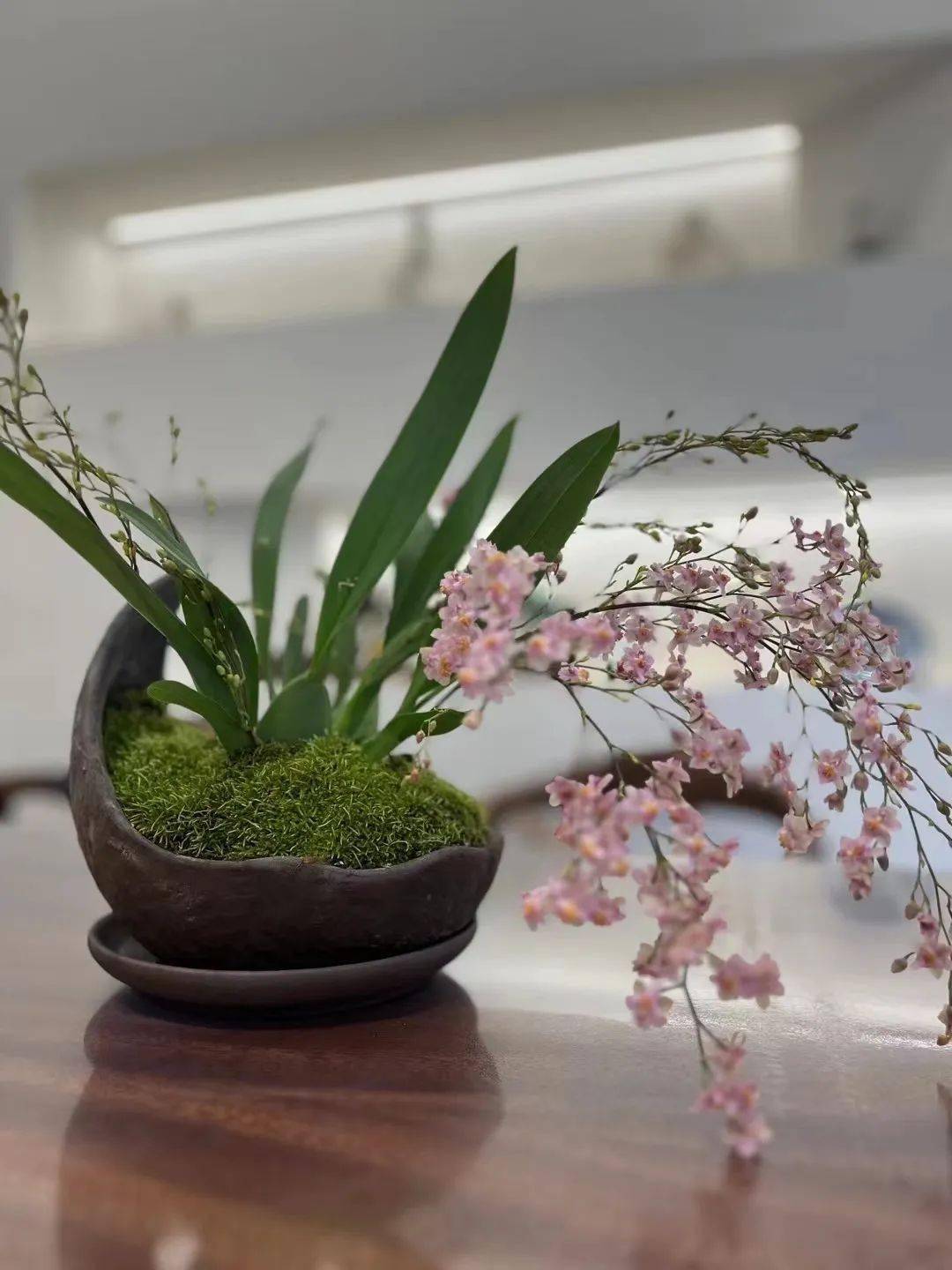 泡在虚伪的茶壶里,也总有人选择真实_朋友_世界_因为