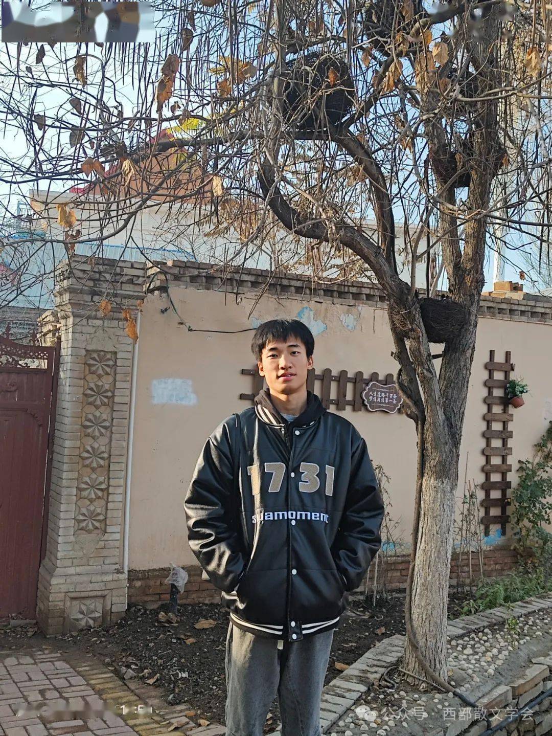 【西部散文学会】张宇鹏 | 校园里的最后一片绿_绿色_选刊_神州