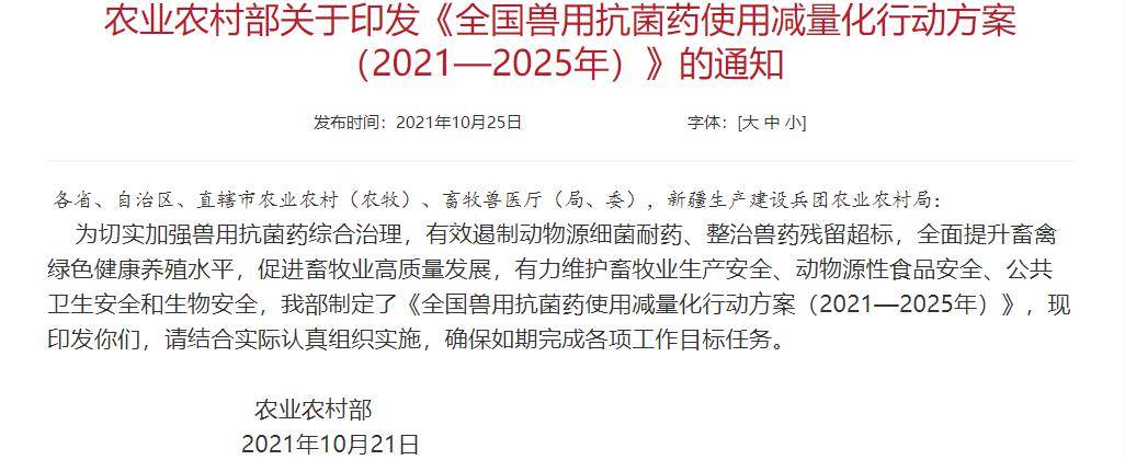 让你感染无药可治的"超级细菌"的,可能是一群猪