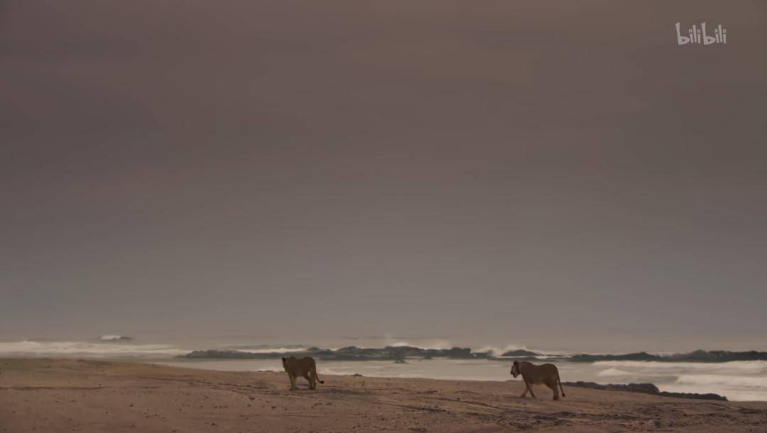 科学电影课 |《地球脉动3》第一集,和大宝老师一起