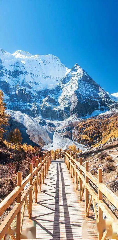 稻城亚丁:从全世界路过,忘不掉的只有你_神山_牛奶_雪山