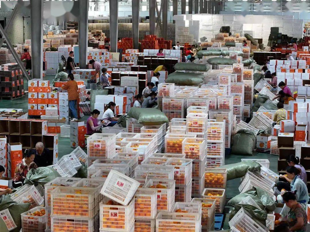 通讯员:付涛,刘思