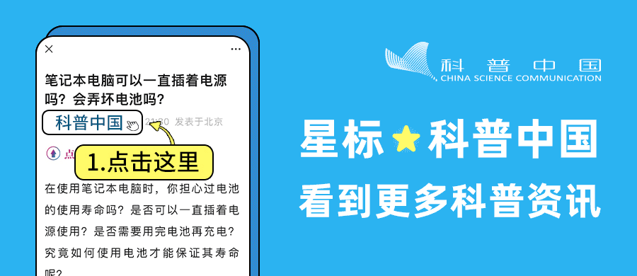 8 种抗氧化食物不仅抗衰老,还能