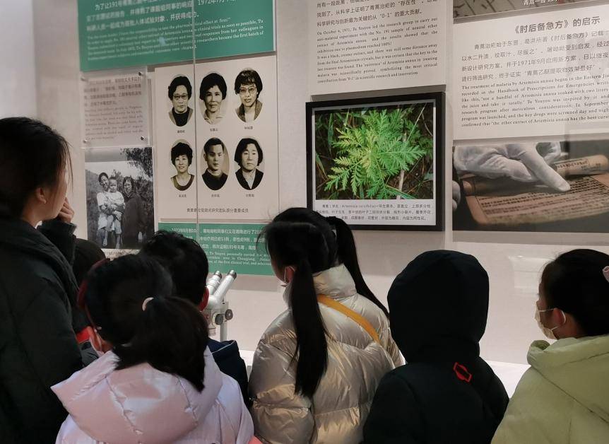 在认识青蒿和提取青蒿素的过程中,切身体验屠呦呦矢志寻蒿的艰辛探索