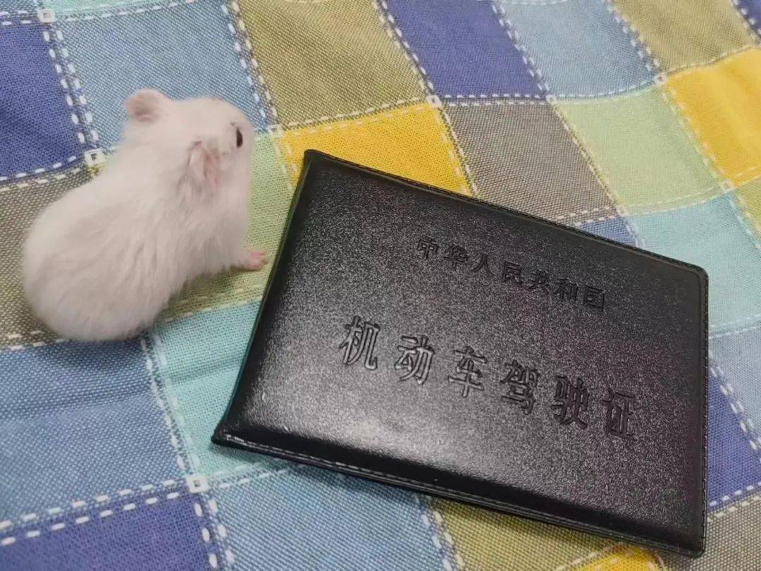 收假小叙 | 当我们再度重逢云大_ynuer_大学生_世界