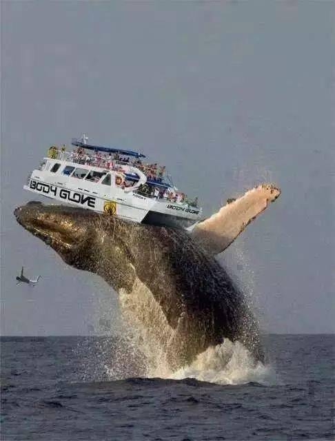 这108张惊人好照片,一半不可思议 一半罕见珍稀_奥巴马_美国_英国