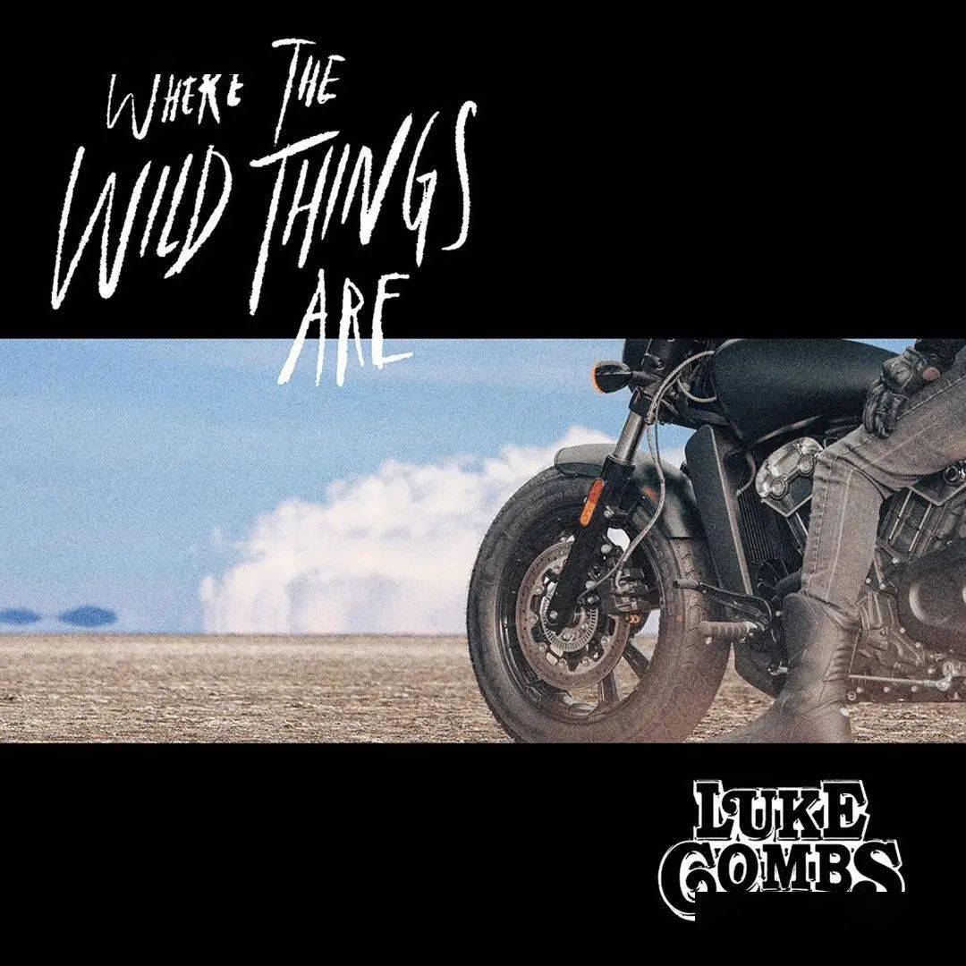 texas hold em再接再厉荣登冠军宝座|美国公告牌榜_周数_排名_cruel