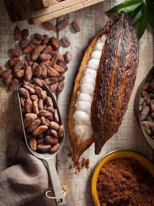 探店·珍得故事 | 珍得巧克力剧院喜获"工业旅游服务