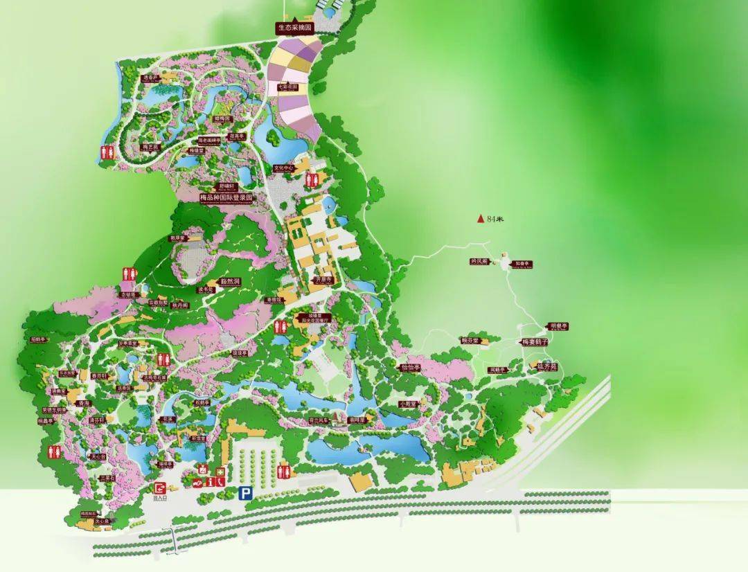 无锡梅园赏梅花,保姆级攻略来啦!