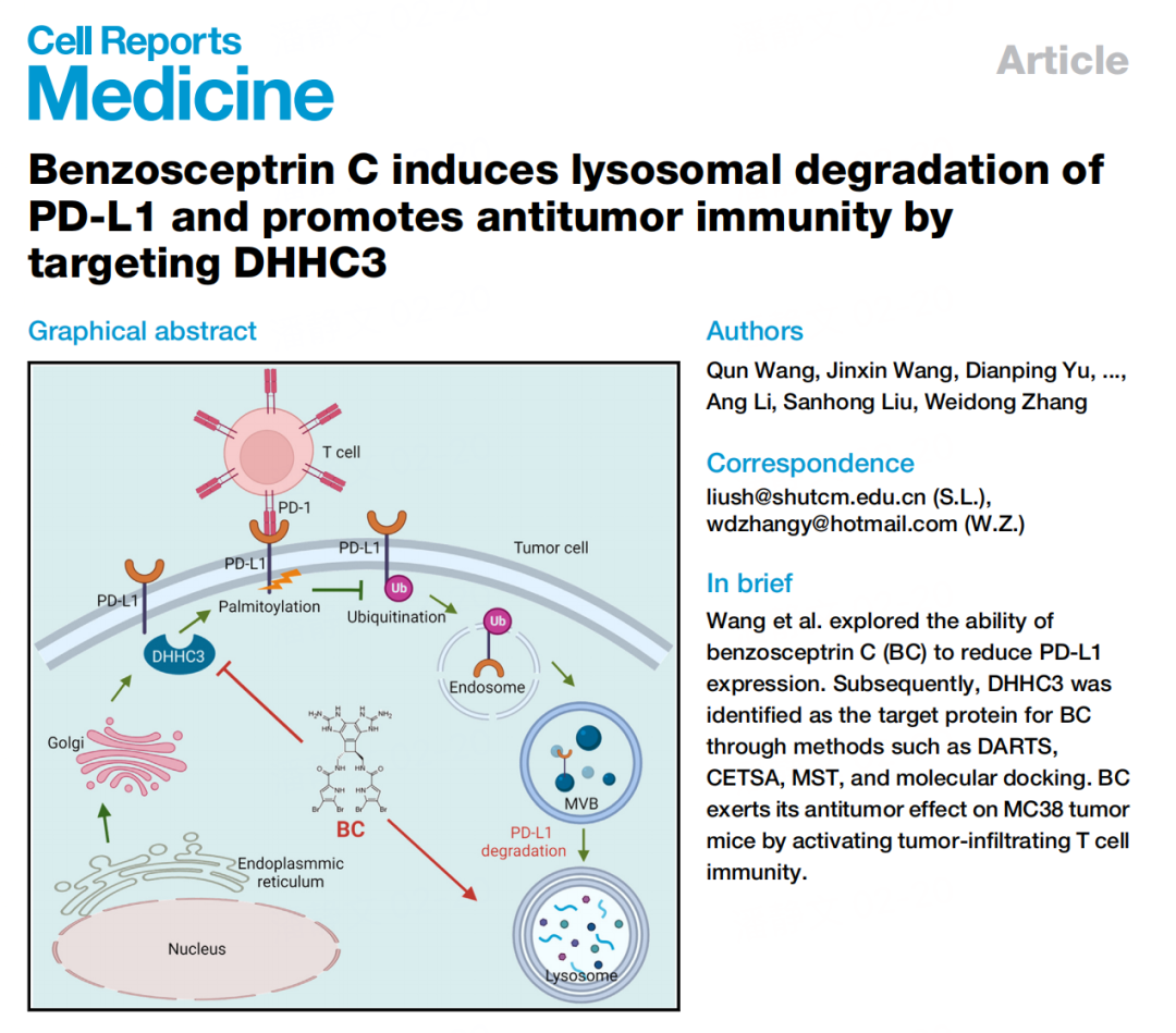 08, 2024_合作_干细胞_采购