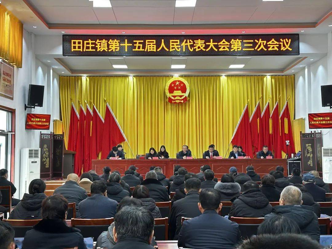 田庄镇十五届人大三次会议选举张小强为镇人民政府镇长_大会_宪法