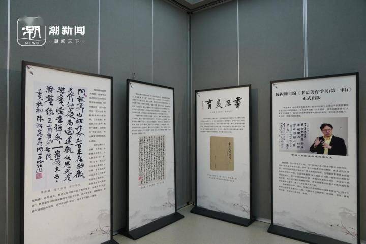 "书法美育"怎么做?