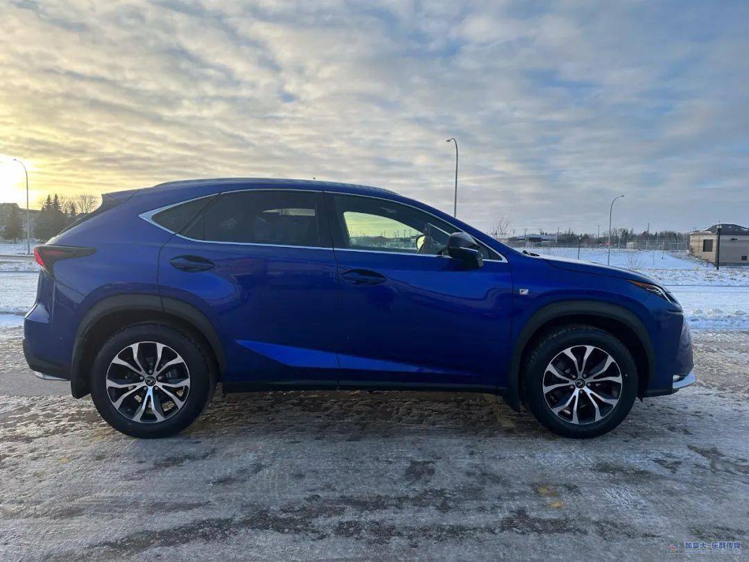 2017 lexus nx 200t awd f sport_搜狐汽车_搜狐网