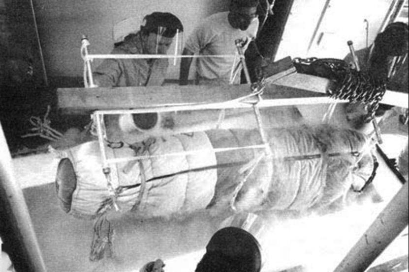 李泽厚"冷冻头颅遗嘱"获执行,揭秘"人体冷冻复活计划"_美国_机构_中国