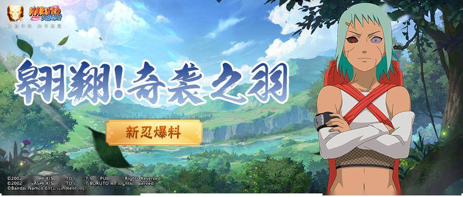 【新忍爆料】从天而降的奇袭,枫「新佩恩六道」登场!_敌人_地面_技能