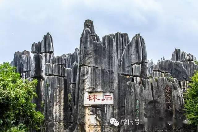 大石林的特色景观——剑状石林_石柱_表面_活动