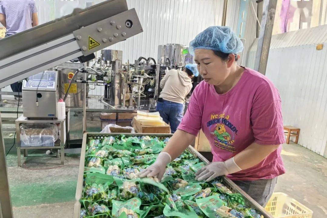 公司于2019年落户勐龙镇,是专注香糯小玉米,拇指玉米等作物种植,收购