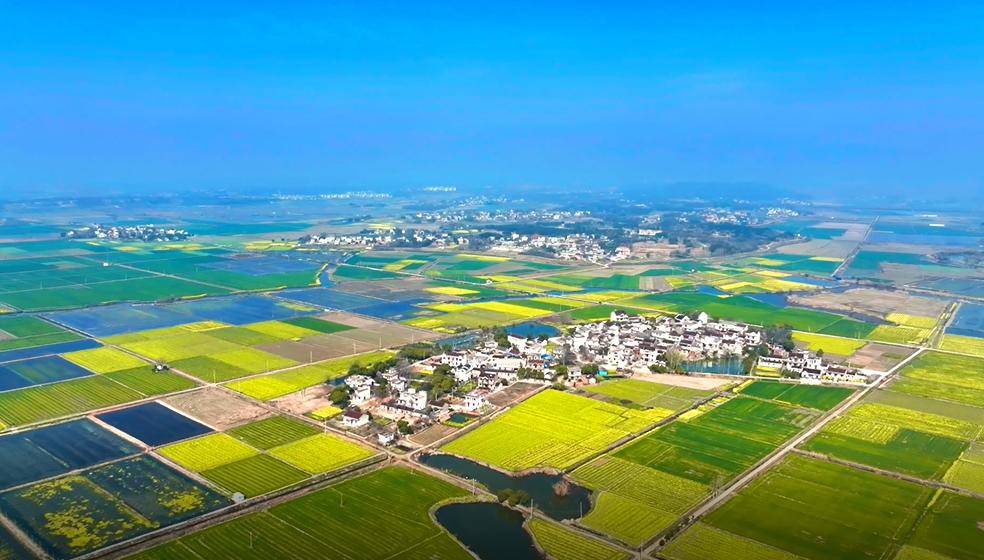 含山版《上春山》,从歌词里去寻找含山的春意~_人间_春色_青草