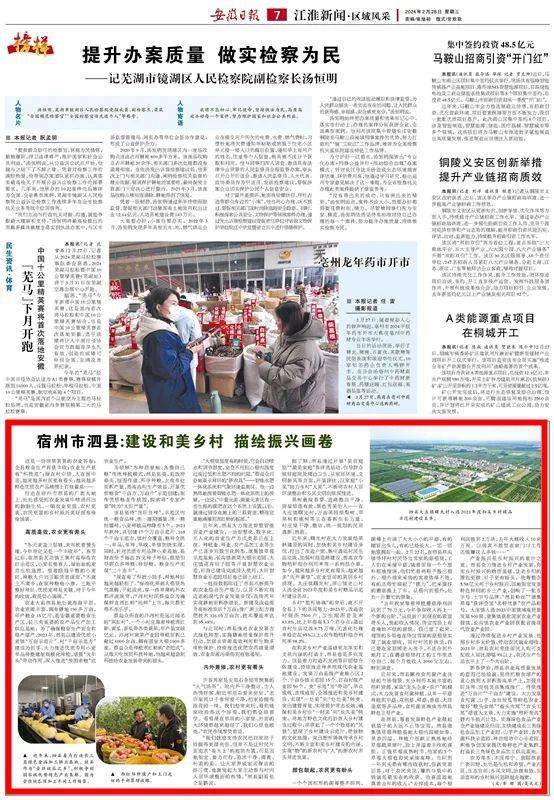 安徽日报大篇幅报道我县_泗县_农业_生产