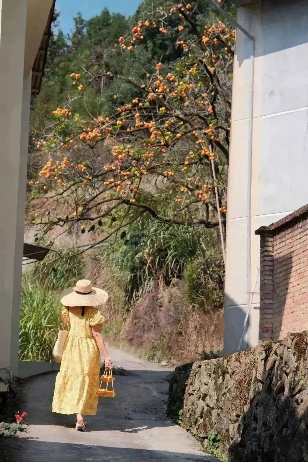 2024年旅行手册带你玩遍这座低调小城→_古田_翠屏湖_桃花